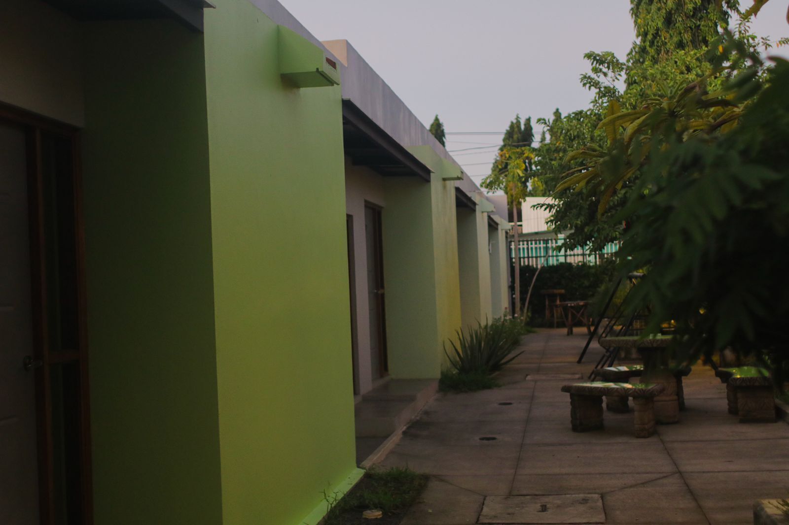 Un patio con un edificio verde, un sendero y plantas en macetas.