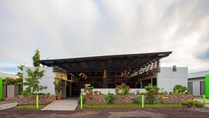 Un edificio moderno con entrada cubierta, plantas en macetas y cielo despejado.