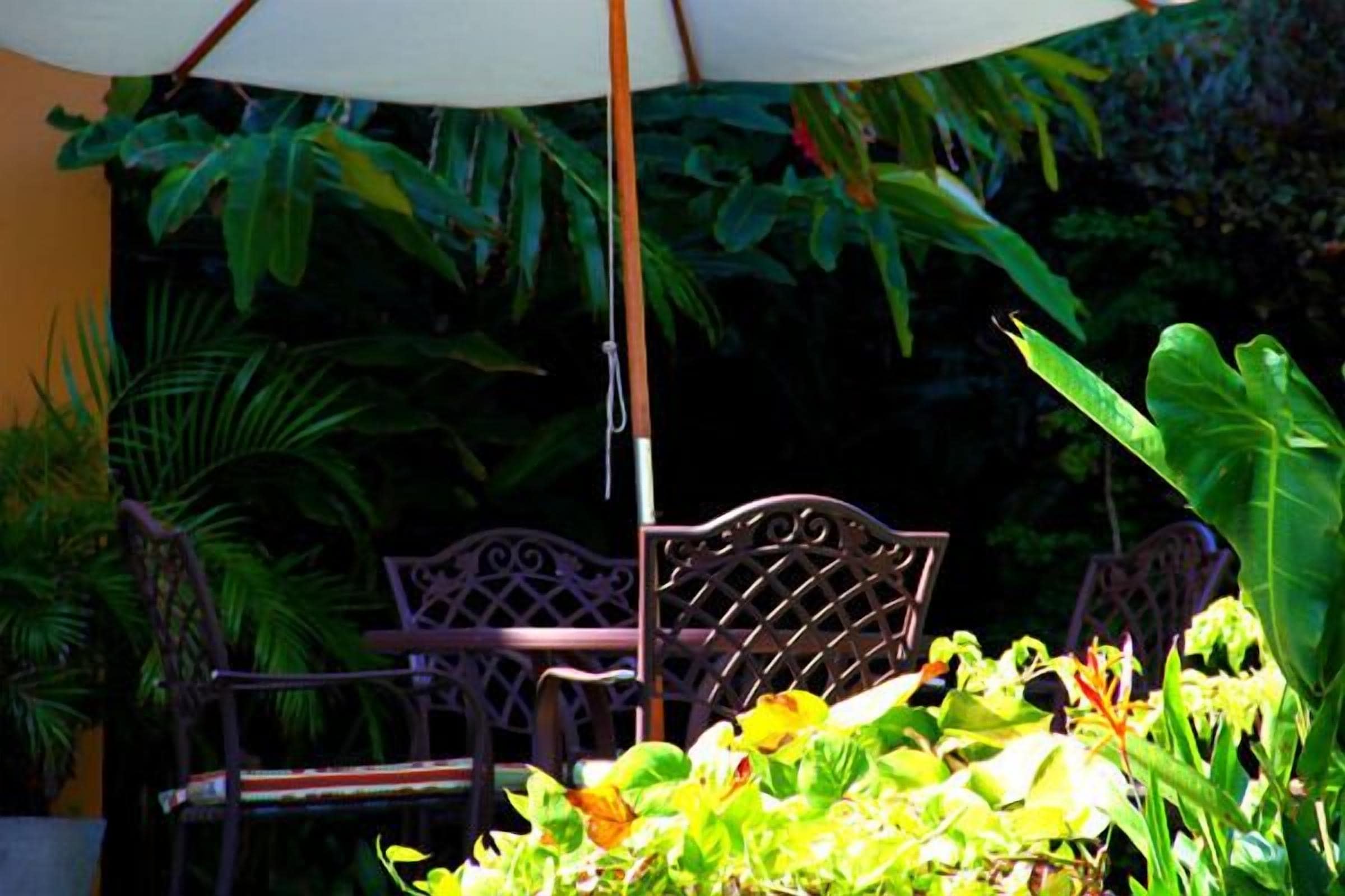 Foto - Hotel Pousada São Francisco