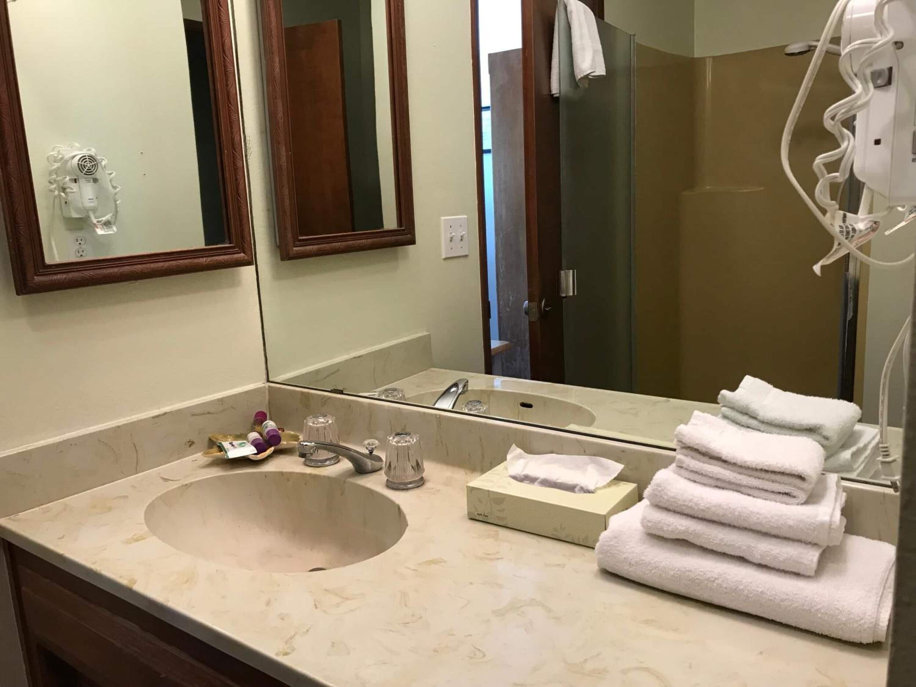 Combined shower/tub, free toiletries, hair dryer, towels