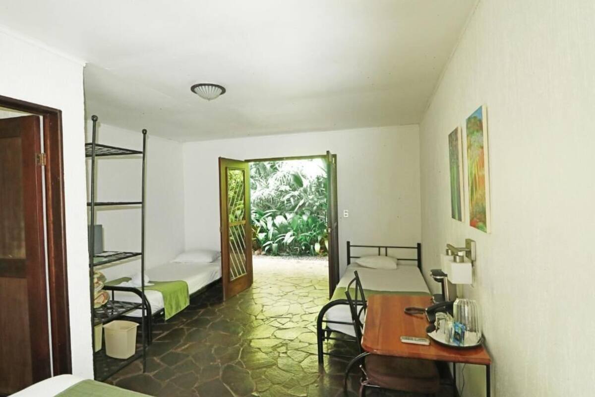 Una habitación con literas, un escritorio, una silla, una lámpara y una ventana con vistas a zonas verdes.