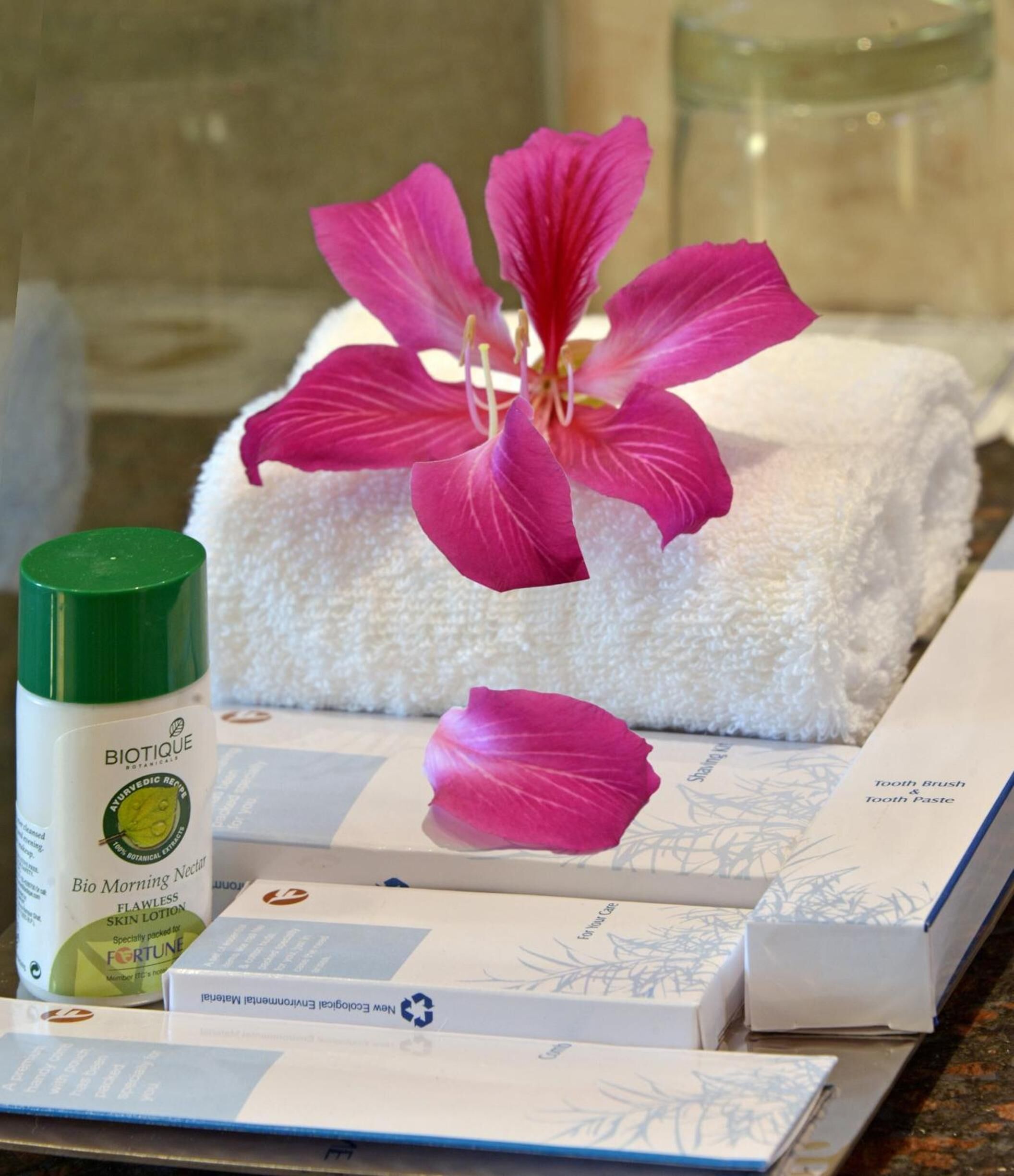 shower, free toiletries, hair dryer, slippers