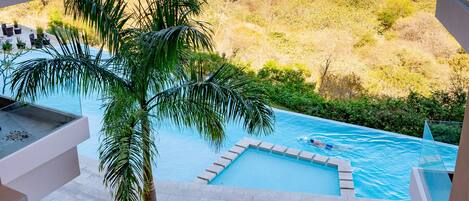 A pool with a view of the ocean and a palm tree.