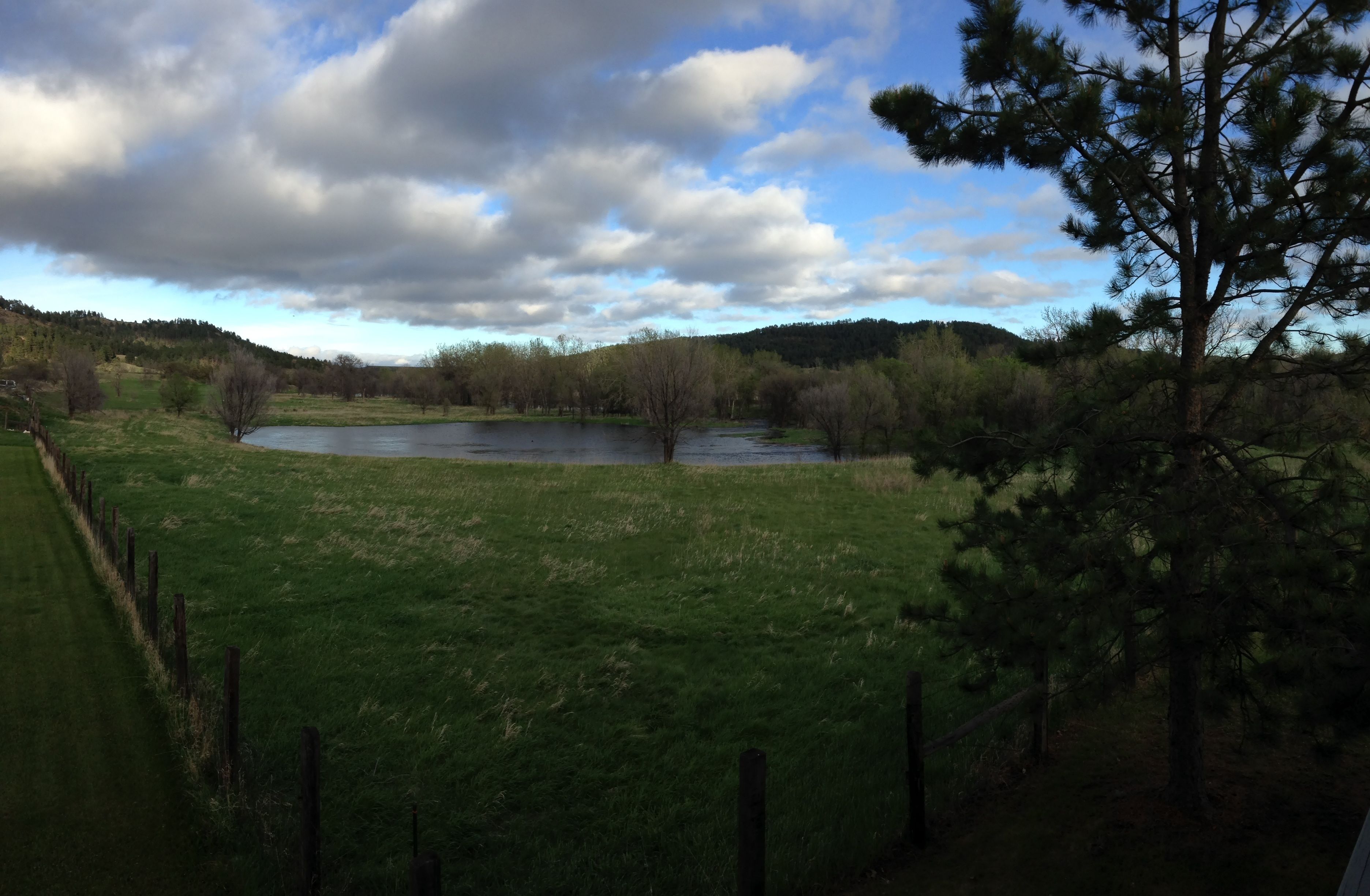 A grassy field with a body of water, trees, and a fence.