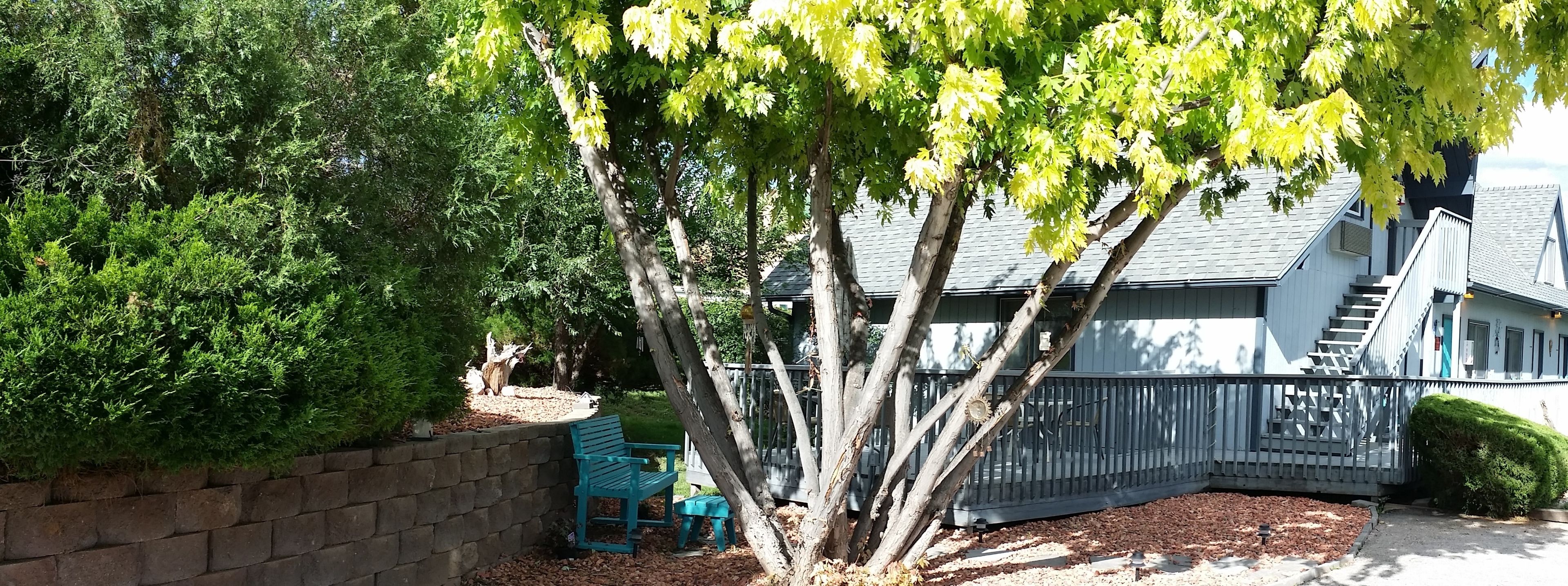 A residential area with a house, a tree, a bench, and a fence.