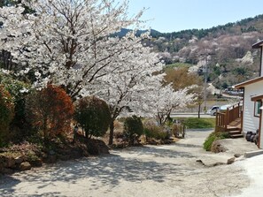 Exterior - Beljari Pension (Tongyeong)