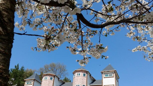 A multi-story building with a brick facade, multiple balconies, and a clear blue sky in the background. - Beljari Pension (Tongyeong)