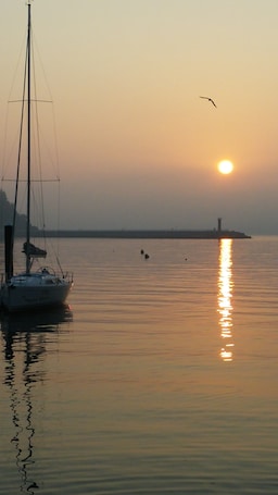 Dock