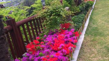 Un jardín con valla de madera, diversas plantas y flores.