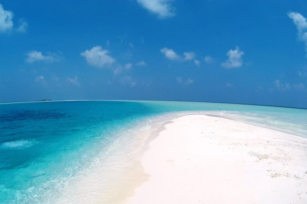 Rasdhoo Coralville