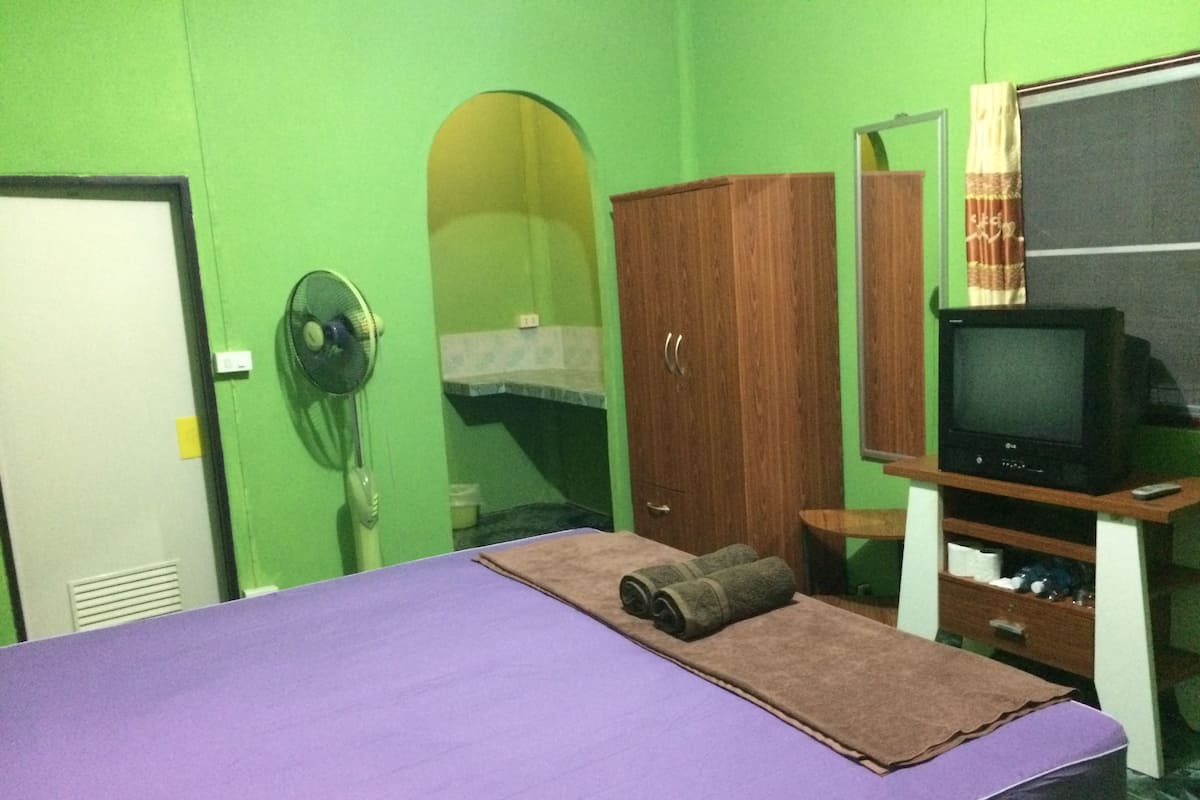 Una habitación con cama, armario de madera, televisor y ventilador.