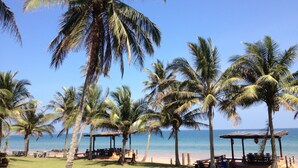 A beach with palm trees, a gazebo, and a view of the sea.