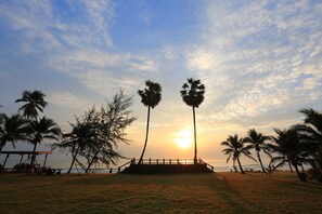 Escena de playa con palmeras y un atardecer.