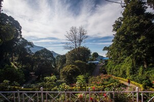 Um jardim exuberante com um caminho que leva a um edifício com telhado azul.