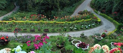 Jardin