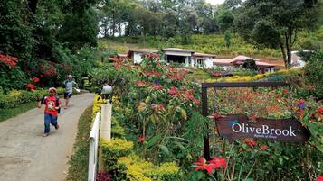 Un sendero que conduce a un edificio con un letrero que dice 'OliveBrook Republic of Nature'.