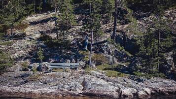 Un rivage rocheux avec un banc en bois et, en arrière-plan, une colline boisée.