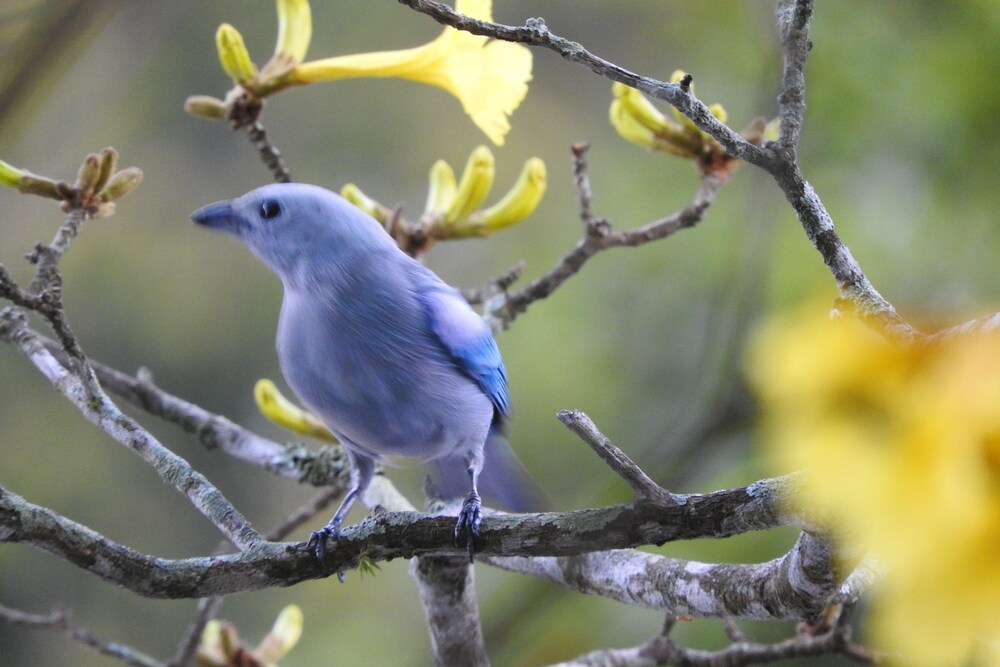 Monique's Guest House by null