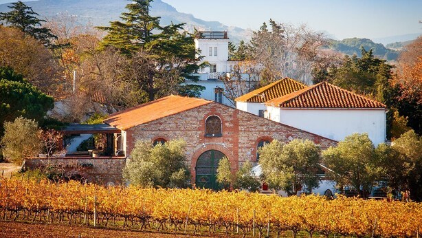 A vineyard with rows of grapevines, a stone building with a red roof, and a white building with a tiled roof in the background. - The Originals City, Hôtel Mondial, Perpignan (Perpignan)