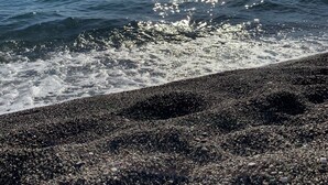 A beach with pebbles and waves, a distant island, and a clear sky. - Hotel Conte (Ischia)