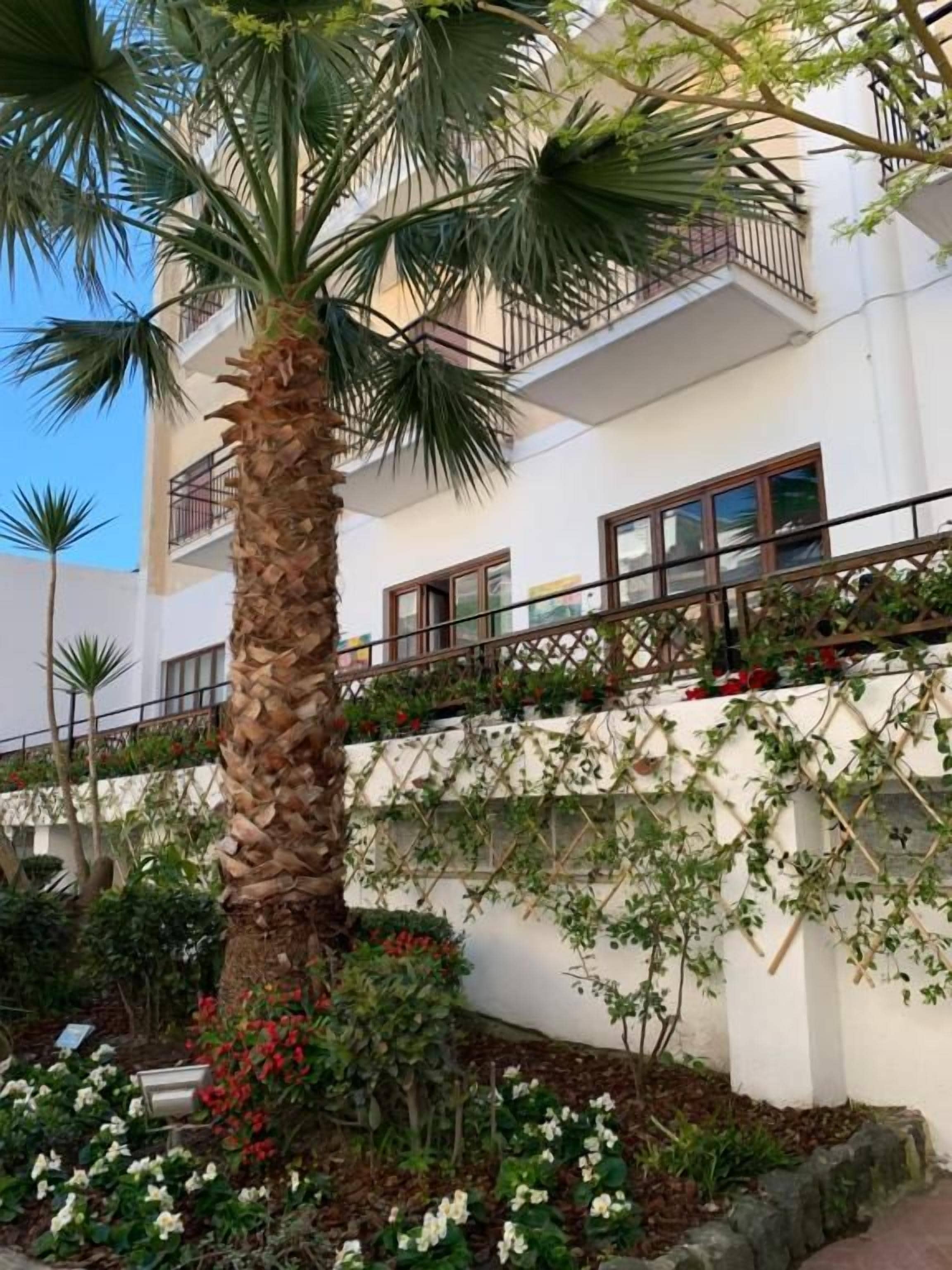 Foto - Hotel Conte Ischia
