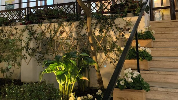 A staircase with a wooden handrail, surrounded by white flowers and green plants. - Hotel Conte (Ischia)