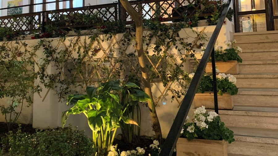 Hotel Conte