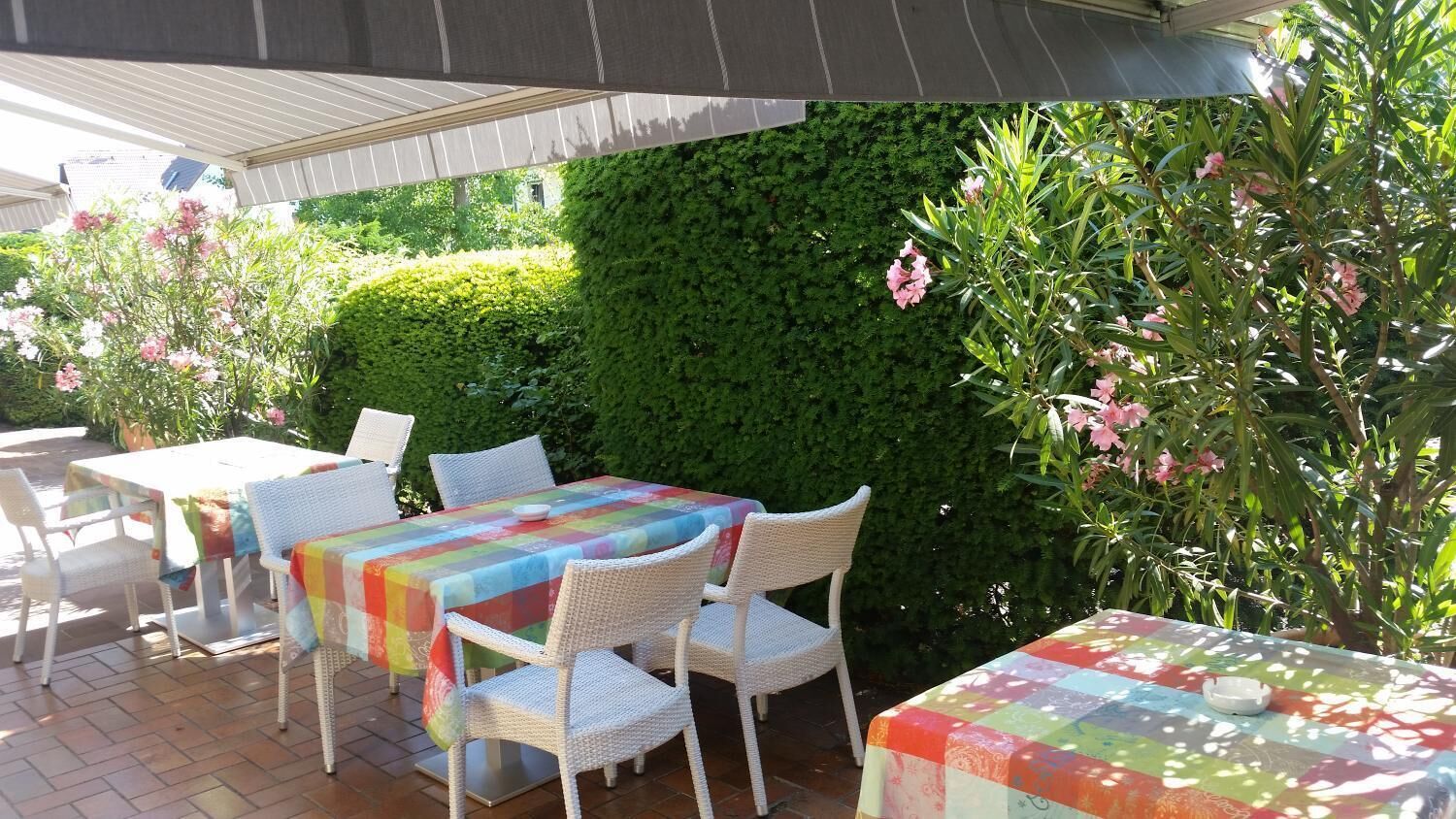 lunch and dinner served, regional cuisine