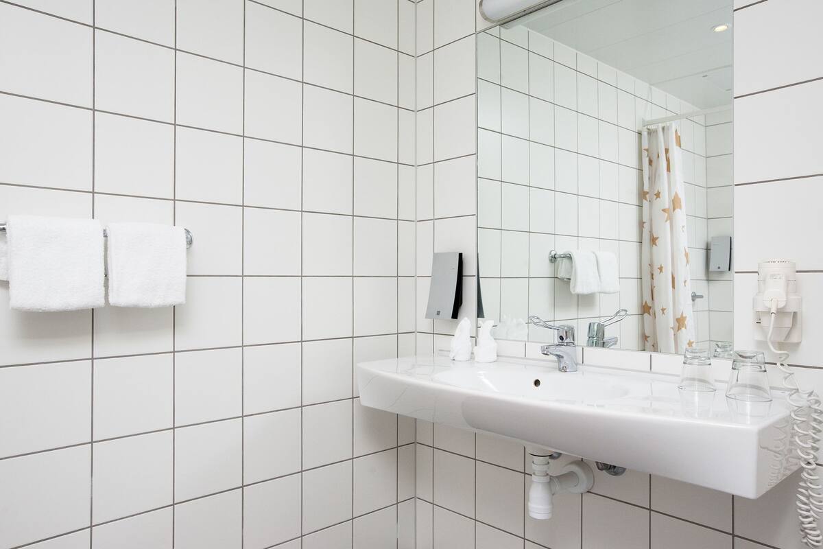 standard double room, non smoking | bathroom | eco-friendly toiletries, hair dryer, towels