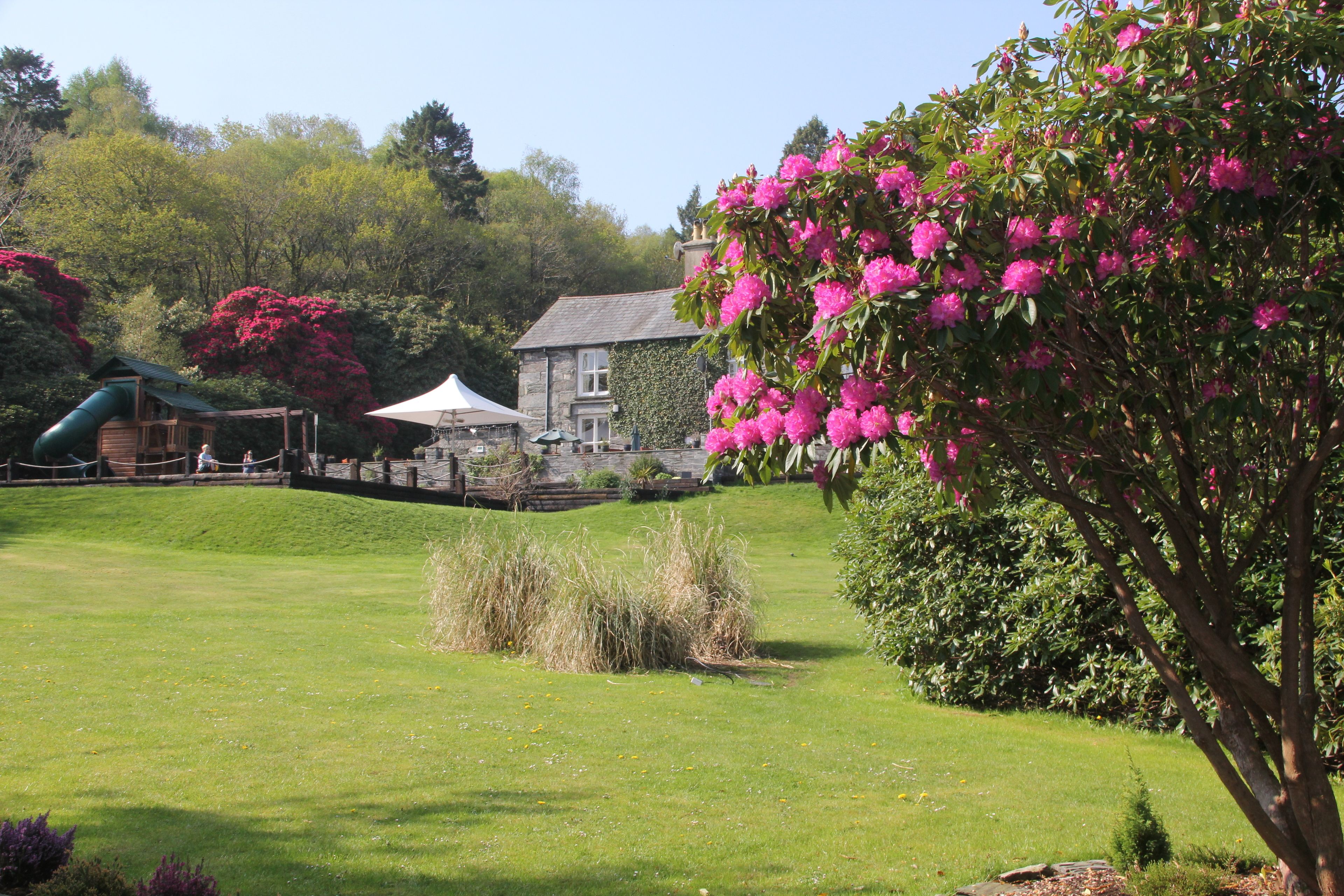 Parco della struttura