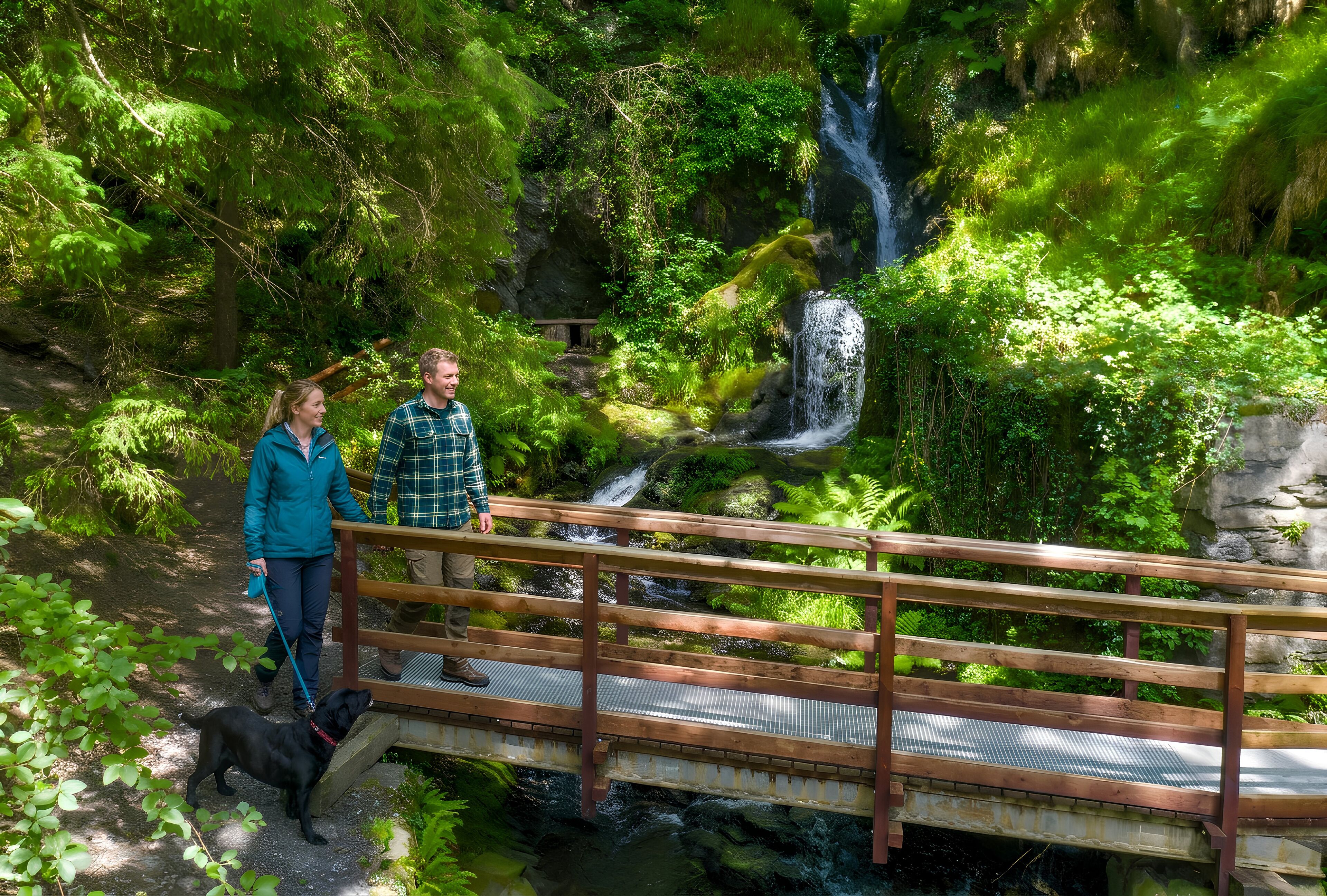 A wooden bridge over a stream with lush greenery and a waterfall in the background.