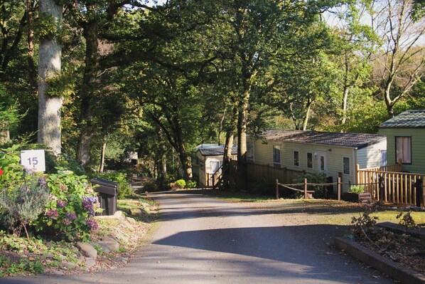 A residential area with a paved road, a mailbox, and a house with a fenced yard. - Aberdunant Hall (Porthmadog)