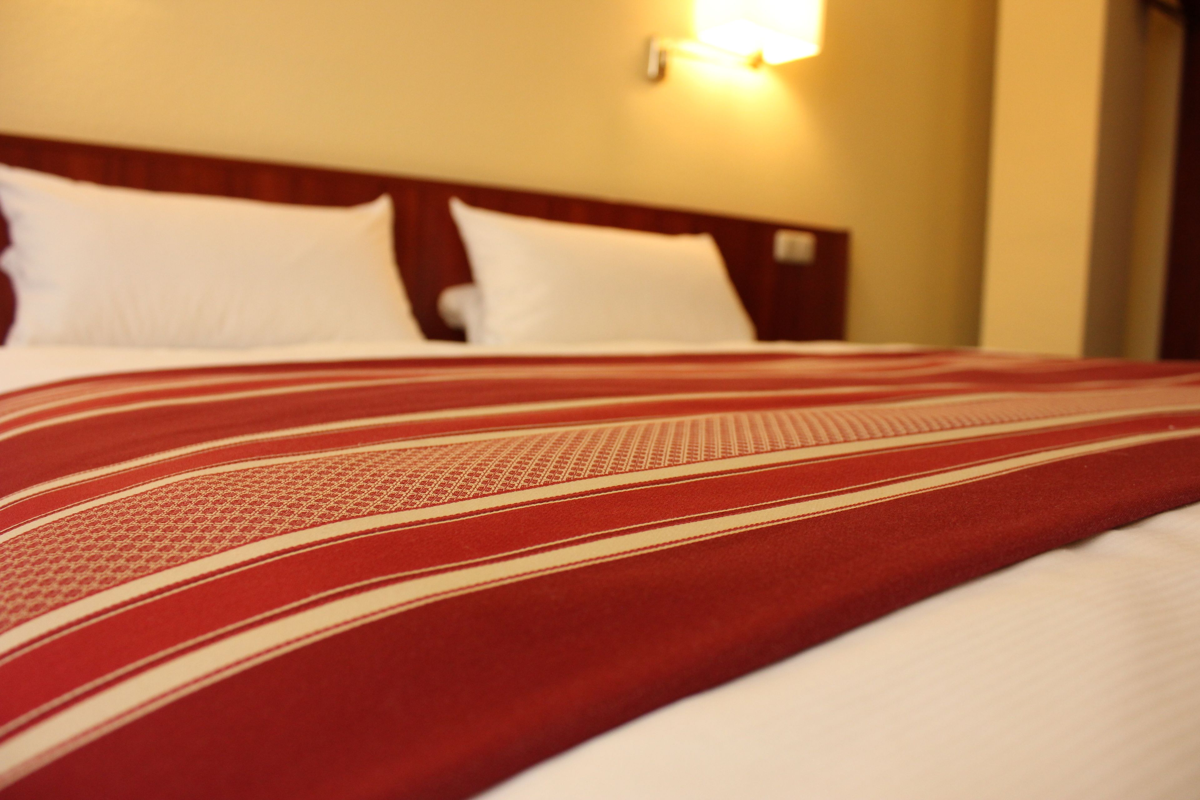 Photo - Cabo Nonsmoking-Hotel 