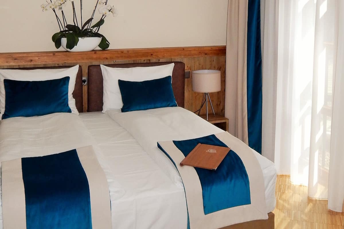 standard double room | room amenity