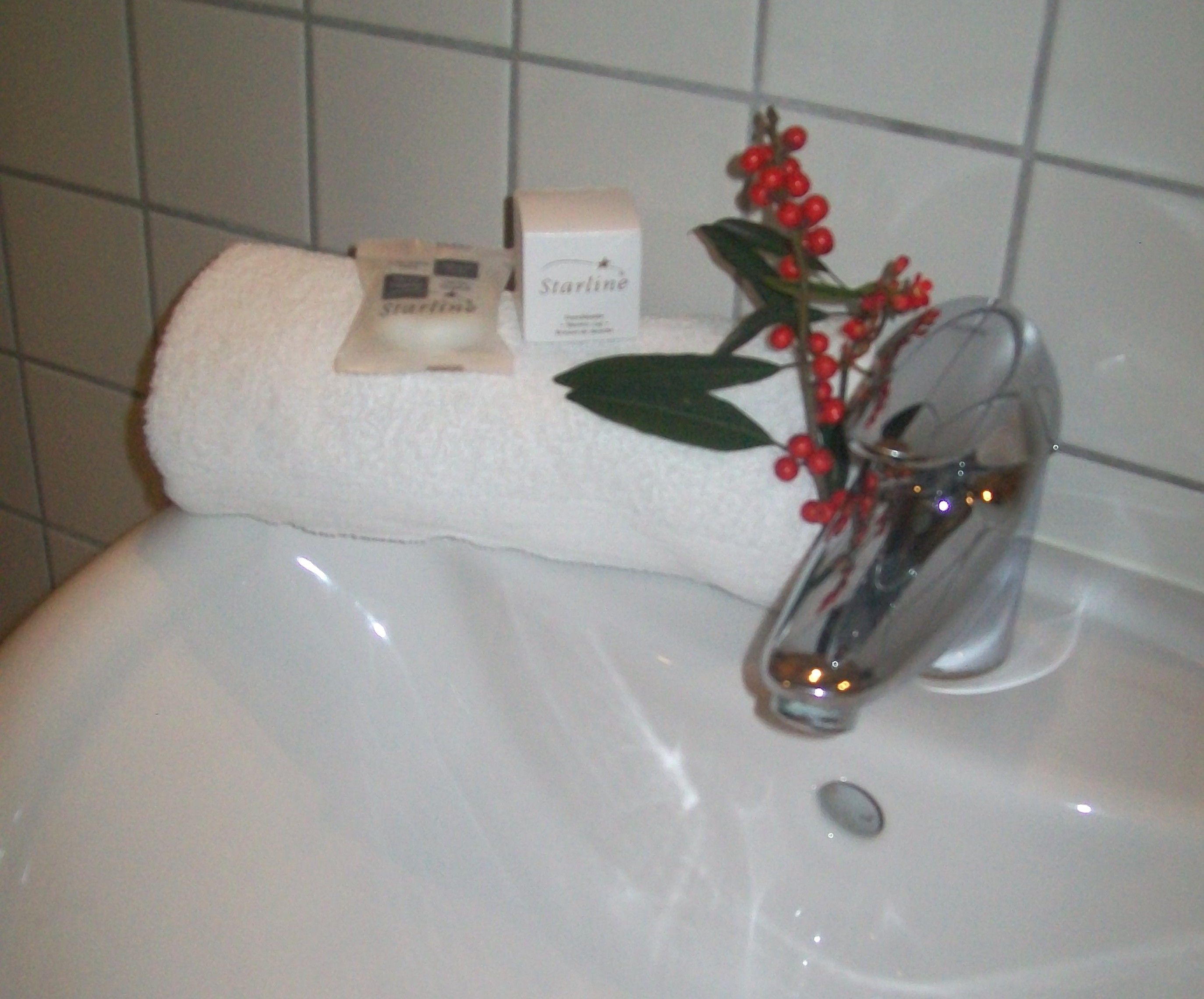 standard twin room | bathroom sink