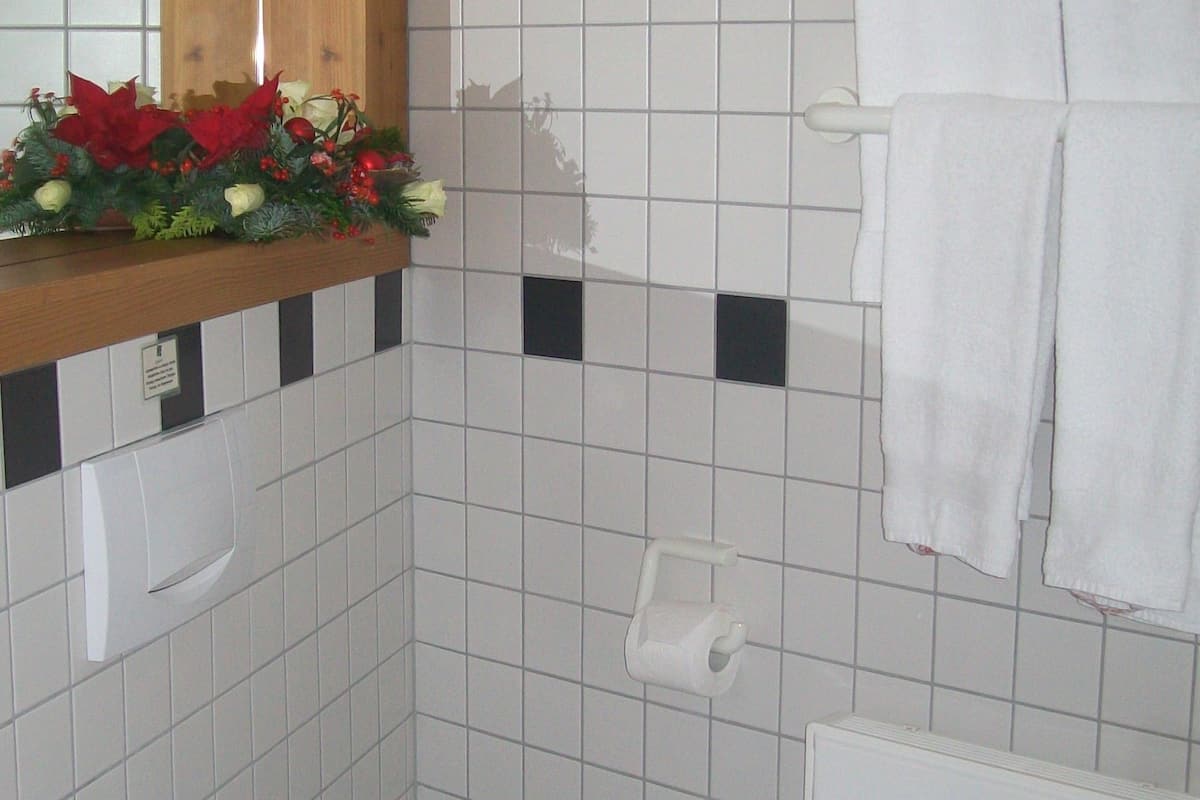 standard double room | bathroom | shower, free toiletries, hair dryer, towels