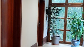 Un pasillo con puertas de madera, plantas en macetas y ventanas grandes.