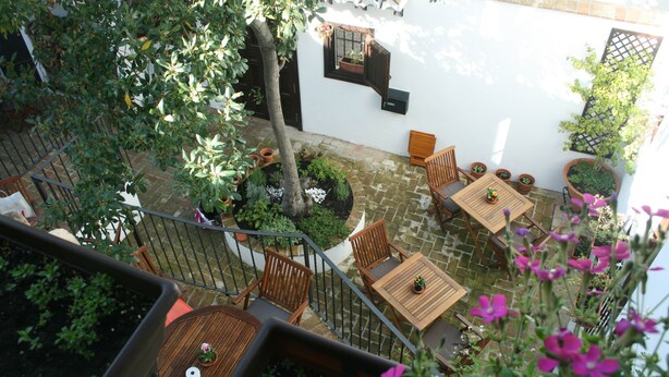 Kamar Double Superior, teras | Pemandangan halaman