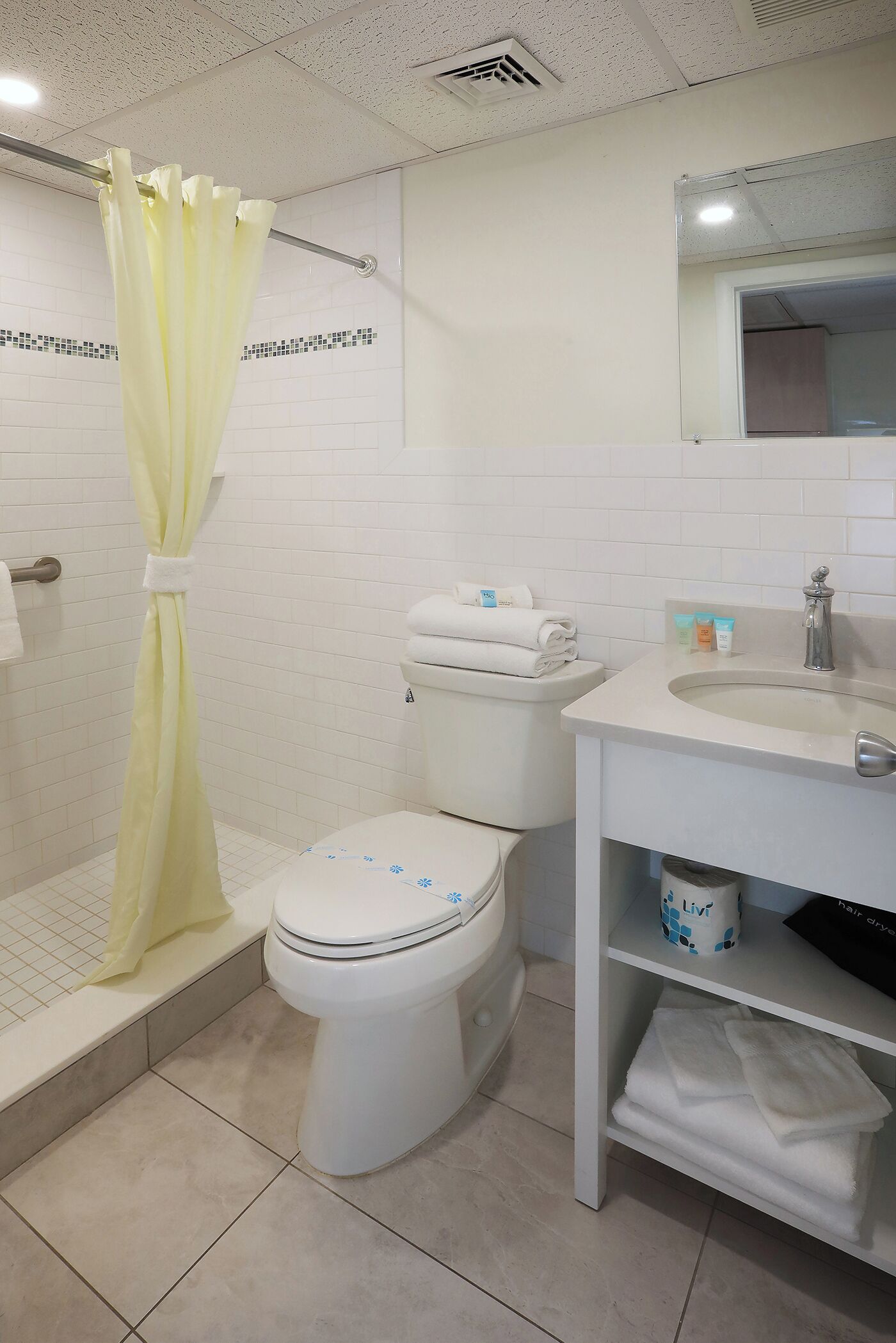 Un baño con cortina de ducha, inodoro, lavabo y un espejo sobre el lavabo.