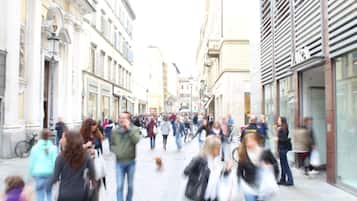 A busy urban street with pedestrians and a dog.