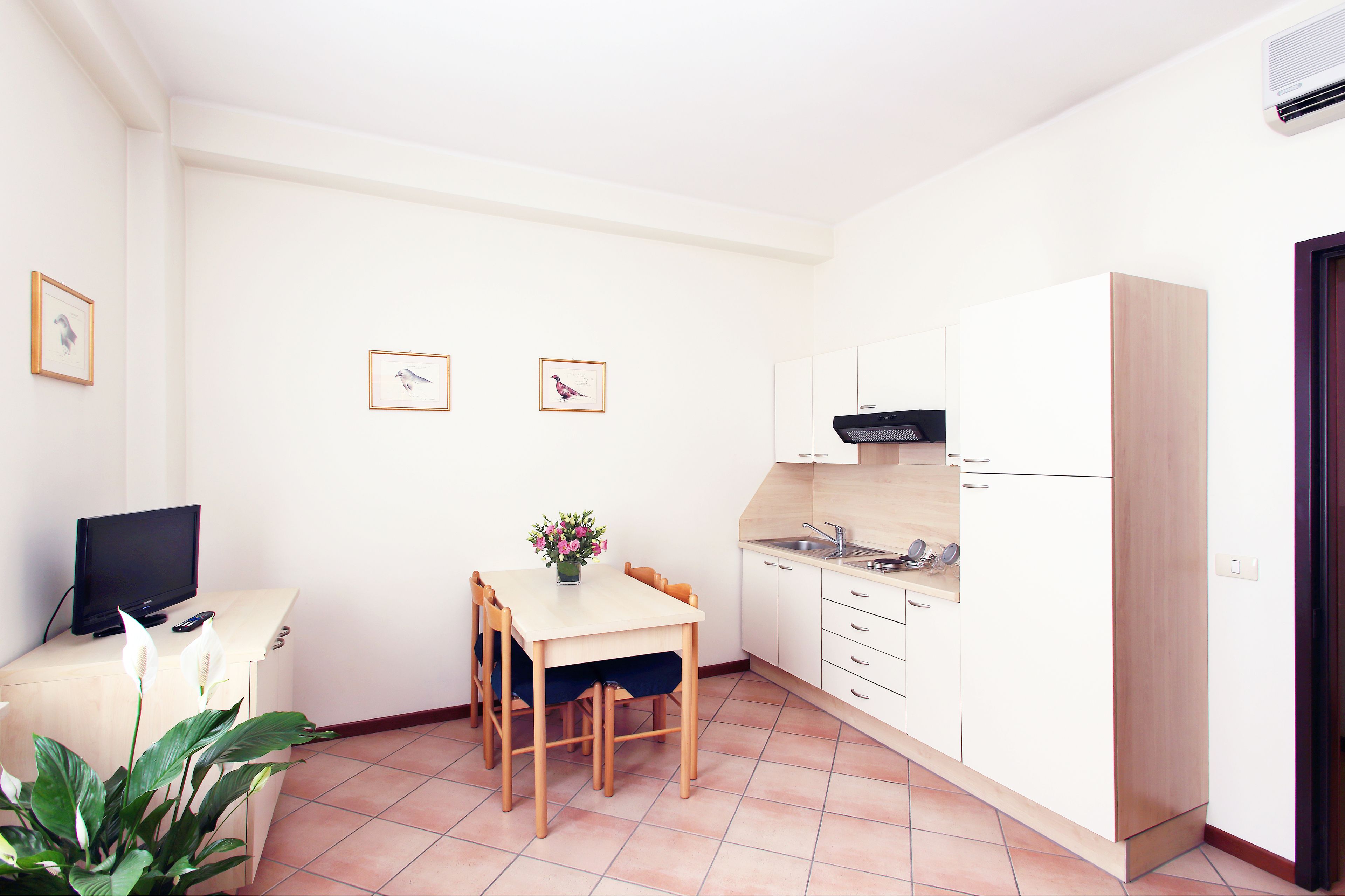 A compact kitchen with white cabinets, a dining table with chairs, a small TV on a cabinet, and a potted plant.