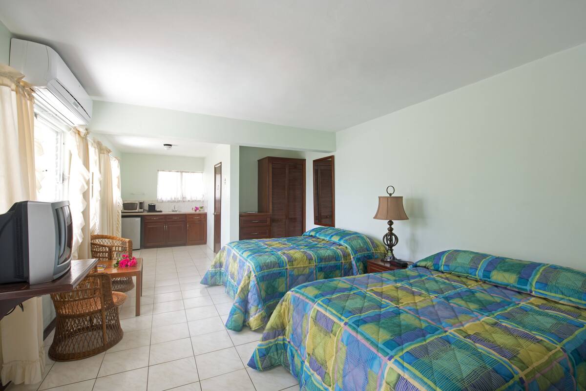 Quarto de hotel com duas camas, televisão, escrivaninha e cozinha compacta.