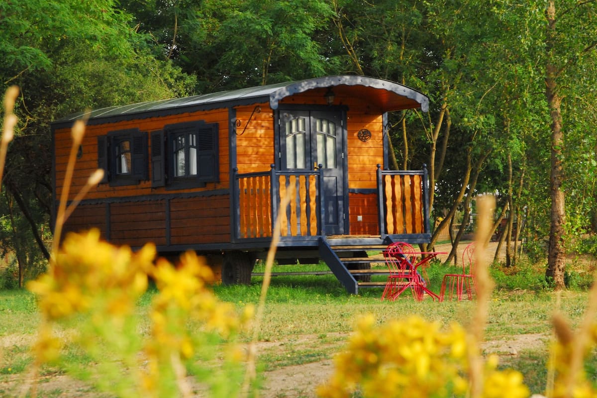 Een houten chalet met een veranda en een trap, omringd door begroeiing.