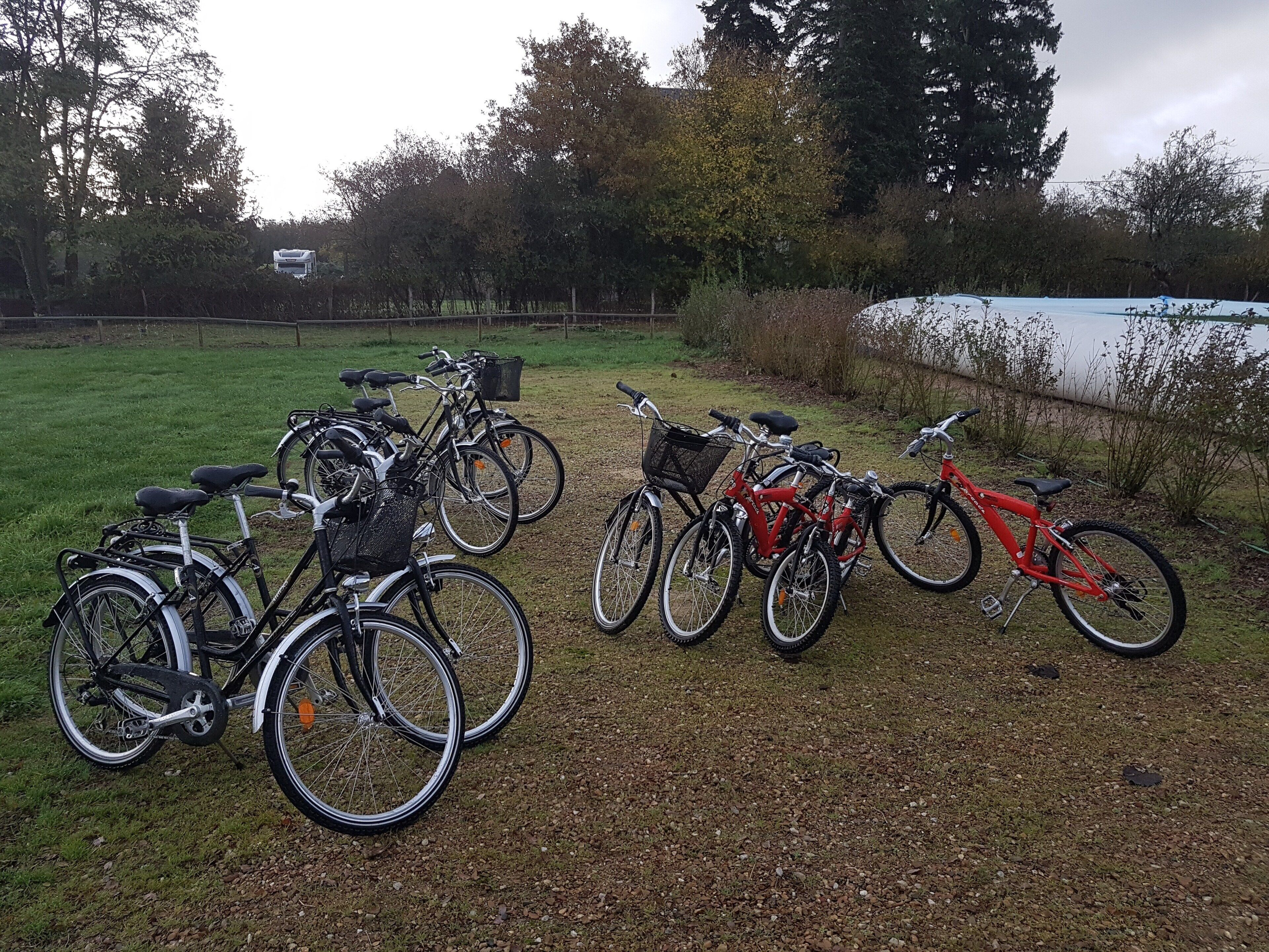 Bicicletas estacionadas em um caminho de cascalho, com um lago e árvores ao fundo.