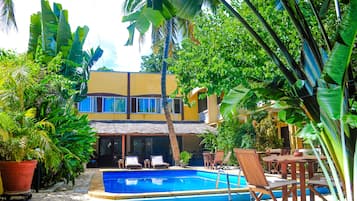 Outdoor pool, pool umbrellas, pool loungers