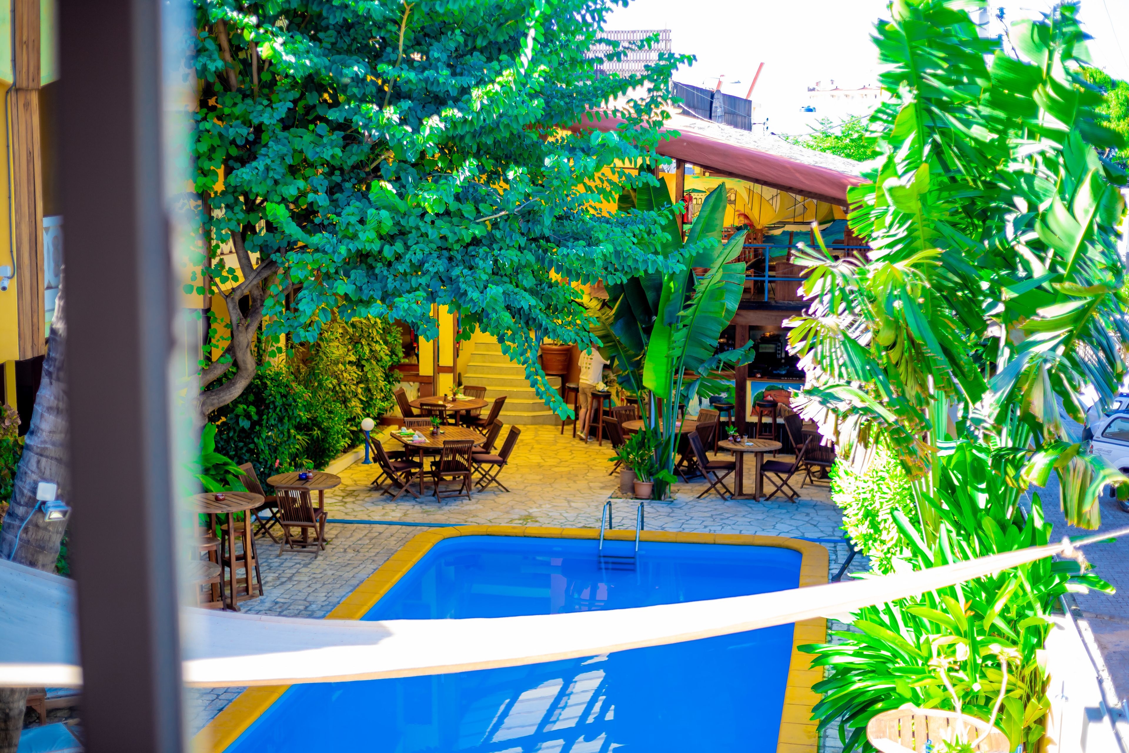 Suite – executive, 1 kingsize-seng, ikke-røyk, bassengutsikt | Utsikt fra rommet