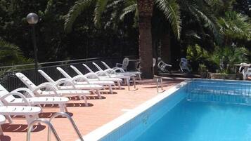 Ein Poolbereich mit Liegestühlen und einer Palme.