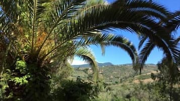 Blick von der Unterkunft