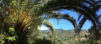 Hotel Eden