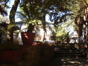Garden - Hotel Eden (Perdifumo)